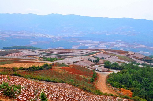 DSC_0007_副本