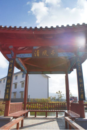 图片7
