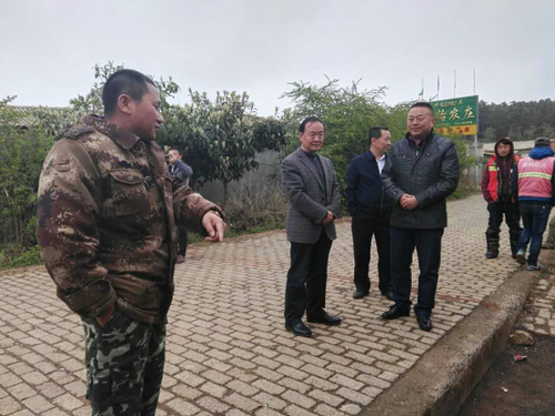 （图为检查组实地查看森林防火卡点人员在岗情况）