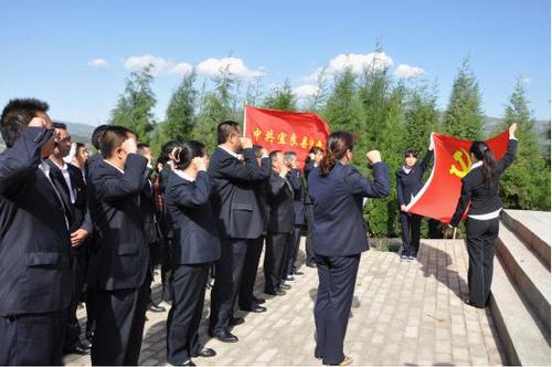 图片8