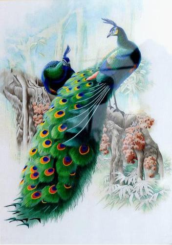 图片8