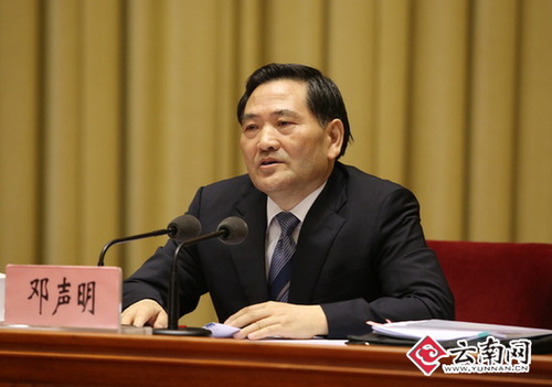 邓声明宣布中央决定。云南日报记者 张彤 雷桐苏 摄