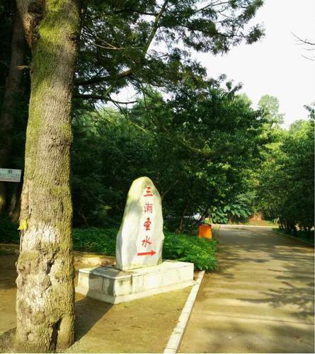 图片1