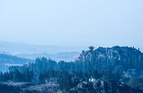 园区自然景观