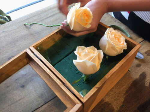 分布结构
