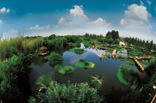 6昆明湿地