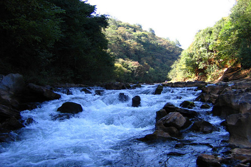 4.流水不腐直奔“心田”