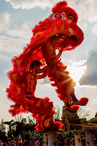 01贾红 《狮舞》