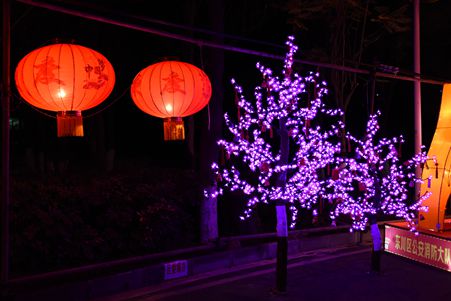 市民把祈福袋挂于树上_副本.jpg