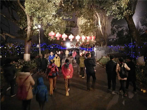 9.寒夜挡不住游人如织.jpg