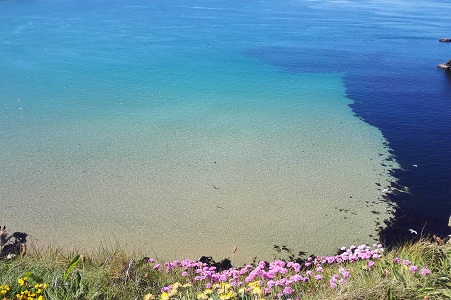 网站格式——2.春花香满岸.jpg