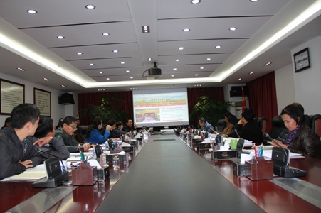 IMG_5407.jpg