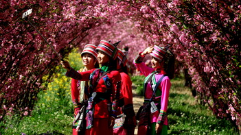 来跟鲜花合张影.jpg