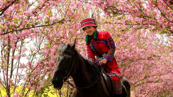骑马观花.jpg