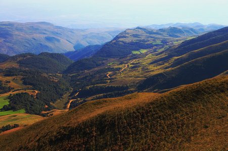 image003.jpg
