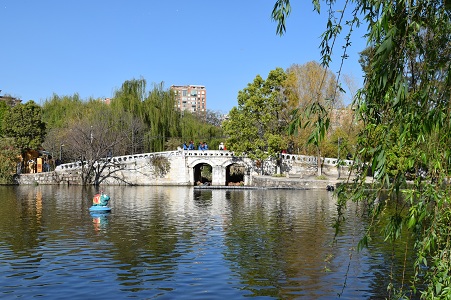 网站格式——听莺桥.jpg