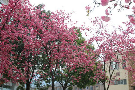 image004.jpg