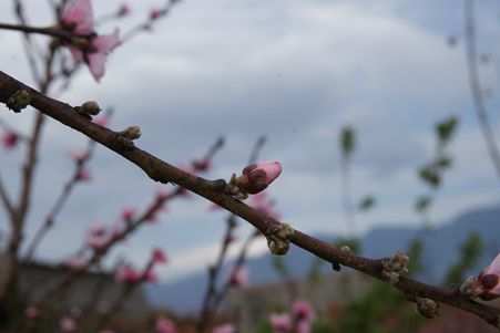 DSC07254_副本.jpg