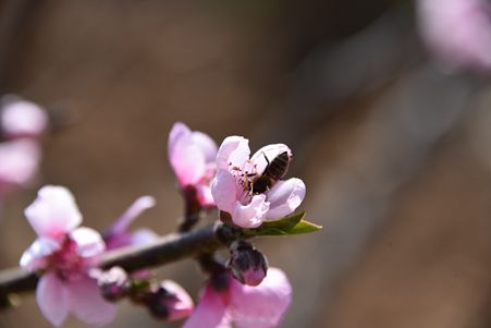 DSC_4658_副本_副本.jpg