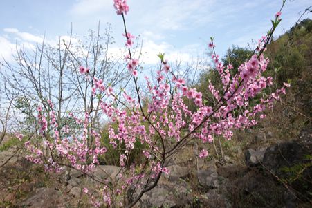 DSC07196_副本.jpg