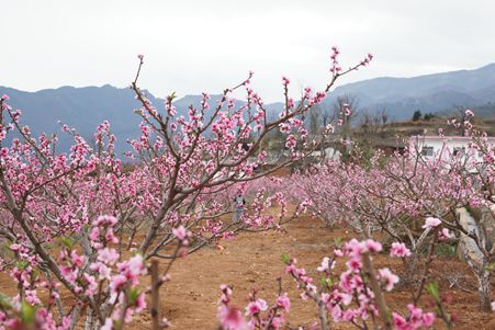 DSC07244_副本.jpg
