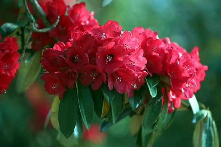 image005.jpg