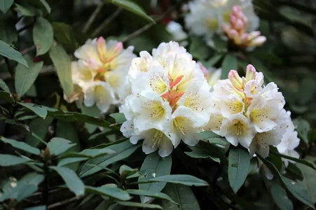 image011.jpg