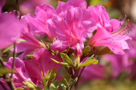 image009.jpg