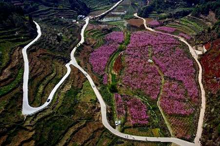 网站格式——1.心花怒放.jpg