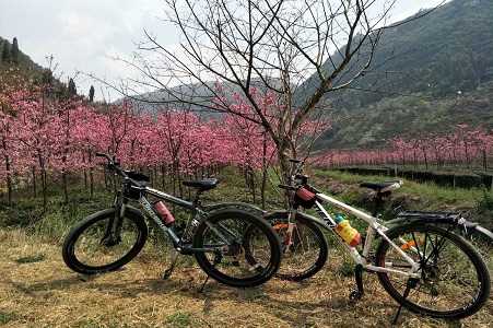 网站格式——7.花海远足.jpg