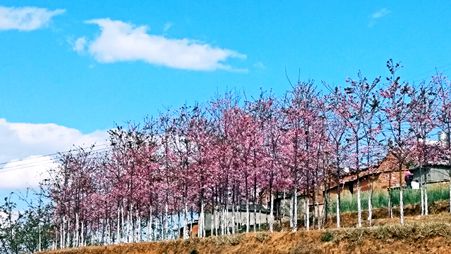 IMG_20170321_155559_mh1490089932832_副本.jpg