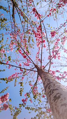 IMG_20170321_161425_mh1490089894014_副本.jpg