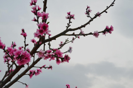 105D7000_副本.png