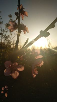IMG_20170323_185127_副本.jpg