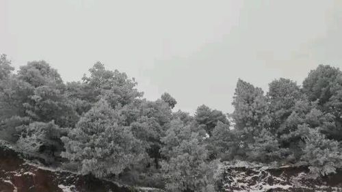 1490943951764023591.jpg