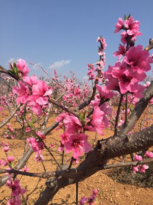 IMG_0397_副本.jpg