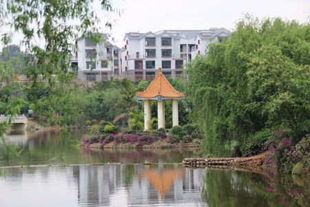 湿地公园一角1_副本.jpg