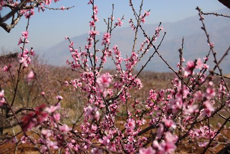 IMG_5659_副本.jpg