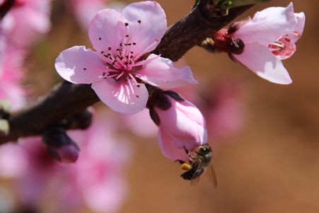 IMG_5770_副本.jpg