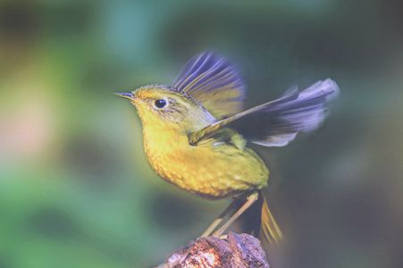 IMG_6779_副本.jpg