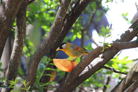 IMG_6315_副本.jpg