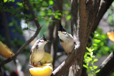 IMG_6318_副本.jpg