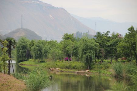 IMG_6713_副本.jpg