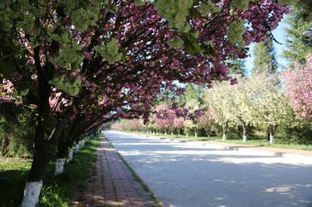 044A3019.jpg