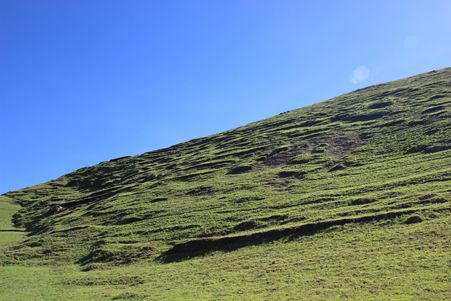 IMG_1876_副本.jpg