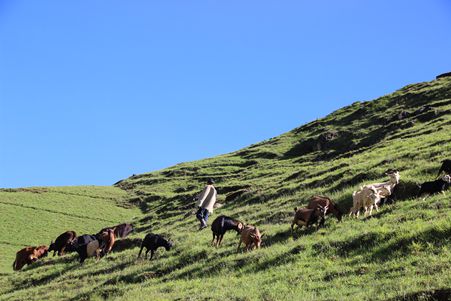 IMG_1882_副本.jpg