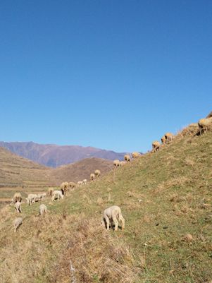 IMG20161208104751_副本.jpg