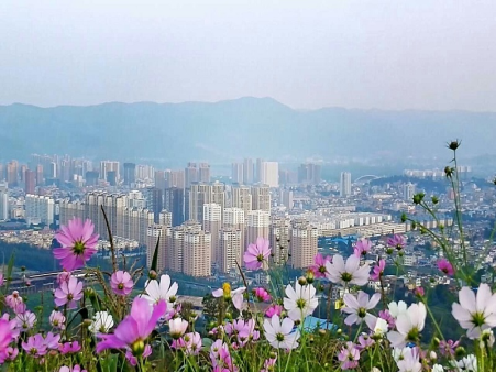 花城宜良.png