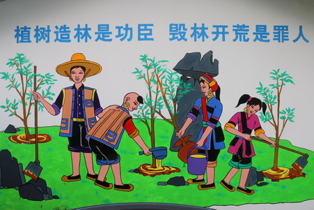 绿化家乡.jpg