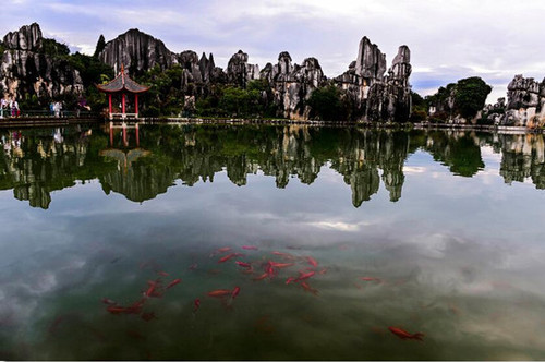 2雨后的石林名胜景区喀斯特地貌景观如版画一样美丽.jpg